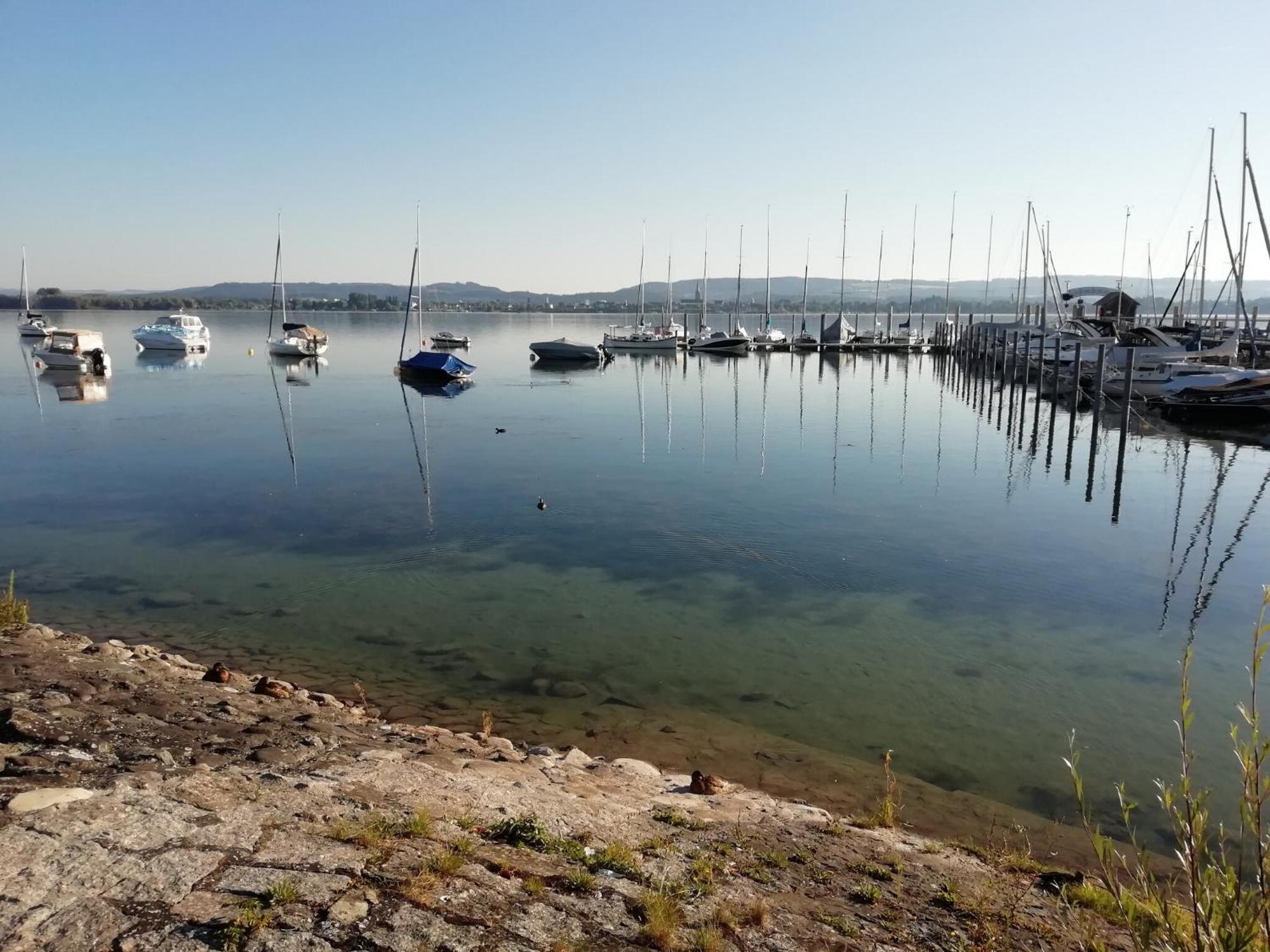 Ferienwohnung Sonnenhalde Moos  Exteriör bild